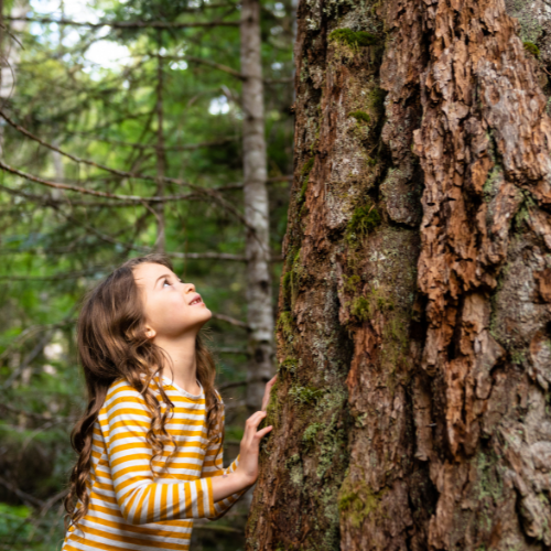 🍁 Les bienfaits des balades automnales pour les enfants