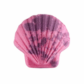 Bombe de bain coquillage craberry