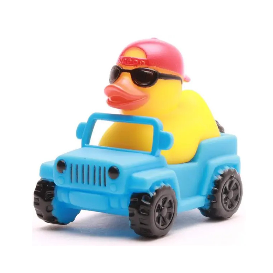 Canard en plastique quad 