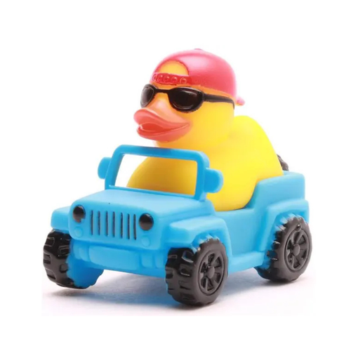 Canard en plastique quad 