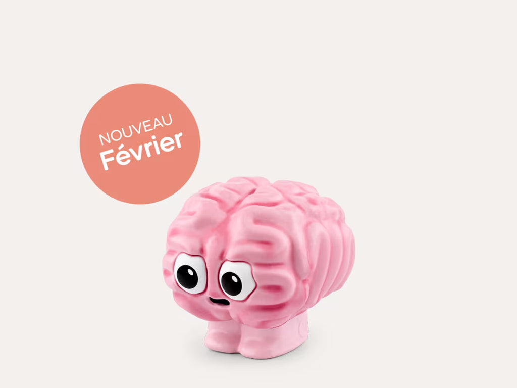 Le cerveau Djo Tonies 